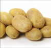 La Bonnotte Potatoes High Quality Potatoes for sale/ cheap fresh organic potatoes