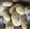 Best selling fresh potato / potato chips at cheap price - Wholesale for frozen potato french fries