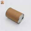 Coin Money Piggy Bank Box Paper Tube Transparent Pig Shaped Plastic Gift Customized Box Offset Printing Paper Box