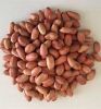 GROUNDNUTS