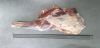 Premium Chilled Lamb Meat - Fresh, Tender, and Ready for Gourmet Cooking