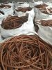 Wholesale Copper Scrap Red Copper Wire Scarp Min 99.99% Yellow Color Copper Wire for Large Stock