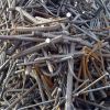 Iron Scrap/ Metal scrap HMS 1 and HMS 2 scrap steel for sale