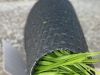 Artificial Grass / Synthetic Turf / Football Grass / Football Field Turf