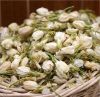 Organic Dried Jasmine Flower/ Herbal tea jasmine flowers from Vietnam 