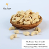 Free Samples Cashew Nuts Wholesale Price WW180 Raw BRC ISO HACCP Certific FREE TAX