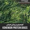 Protein Grass Seed - B...