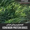 Protein Grass Seed - B...