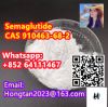 Semaglutide CAS:910463...