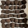 Popular Wild Fresh Black Truffles for Wholesale