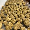 Popular Fresh White Truffles Mushrooms for Wholesale