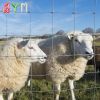 Metal Farm Fence Galvanized Wire Mesh Cattle Horse Sheep Animal Field Fence