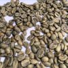 green coffee beans