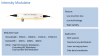 Rof Electro-Optic Modulator Wavelength 1064nm Intensity Modulator 300M Lithium Niobate Modulator