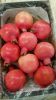 Quality Pomegranates, ...