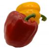 Fresh Capsicum, Bell P...