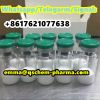 High Purity LY3437943 Research Peptide cas 2381089-83-2 5mg 10mg 15mg GLP-1R Retatrutide