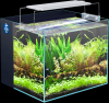 Crystal 45 Degree Low Iron Ultra Clear Aquarium With Built In Back Filter (10 Gallon, 17.72"X1.81"X11.02")