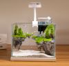 Office small fish tank...