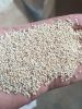 1st grade White sesame...