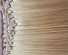 Virgin Human Hair Tape-In Extensions - Cuticle Intact Shiny Donor Hair, 8-30 Inch, 20 Pieces/50g, Available in 30+ Colors. Tangle-Free, Shedding-Free, Silicone-Free