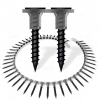 Fine Threaded Coarse Thread Black Collated Drywall Screw for Wood or Steel
