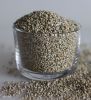 PREMIUM FINGER MILLET