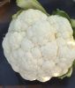 Cabbage,Cauliflower, A...