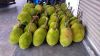 Honey Jackfruit