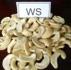 Raw Cashew Nuts W320 W240 with High Quality