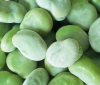 IQF Fresh Frozen Fava Peeled Broad Bean