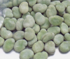IQF Fresh Frozen Fava Peeled Broad Bean