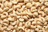 Raw Cashew Nuts W320 W240 with High Quality