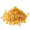 Yellow Corn yellow corn for human consumption non gmo yellow corn/ yellow corn for animal feed popcorn