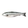 Frozen salmon fish Norway seafood fillet portions loins steaks slices private label for wholesale