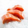 Fresh Salmon Fish / Salmon From Norway - 100% Export Quality Salmon Fish / Salmon fillet / Squid for sale / octopus supplier