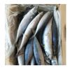 2017 New Arrival Frozen North Pacific Mackerel Fish
