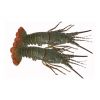 Competitive Price ALIVE SPINY LOBSTER/ FROZEN RAW LOBSTER Export