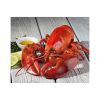 Competitive Price ALIVE SPINY LOBSTER/ FROZEN RAW LOBSTER Export