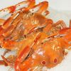 Frozen Fresh Blue Crab for sale / Frozen Blue Crab for sale / Frozen Crab for sale