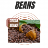Cocoa Beans, Cocoa Powder, Cocoa Butter, Cashew Nuts and Coffee Beans