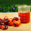 High Acid Crude Palm Oil