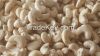 Raw Cashew nuts Available...