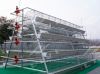 A Type Layer Battery Cage(5000-30000 Chickens)