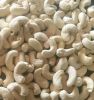 Dried Cashew nuts 