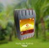 Palm oil and cocao seed
