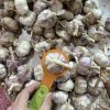 C 4.5-6.0cm 20kg Dubai White Garlic Price China Fresh Vegetables Garlic Wholesale for Indonesia Market Pakistan Market