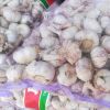 C 4.5-6.0cm 20kg Dubai White Garlic Price China Fresh Vegetables Garlic Wholesale for Indonesia Market Pakistan Market