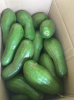 BEST SELLER FRESH AVOC...