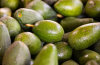 BEST SELLER FRESH AVOC...